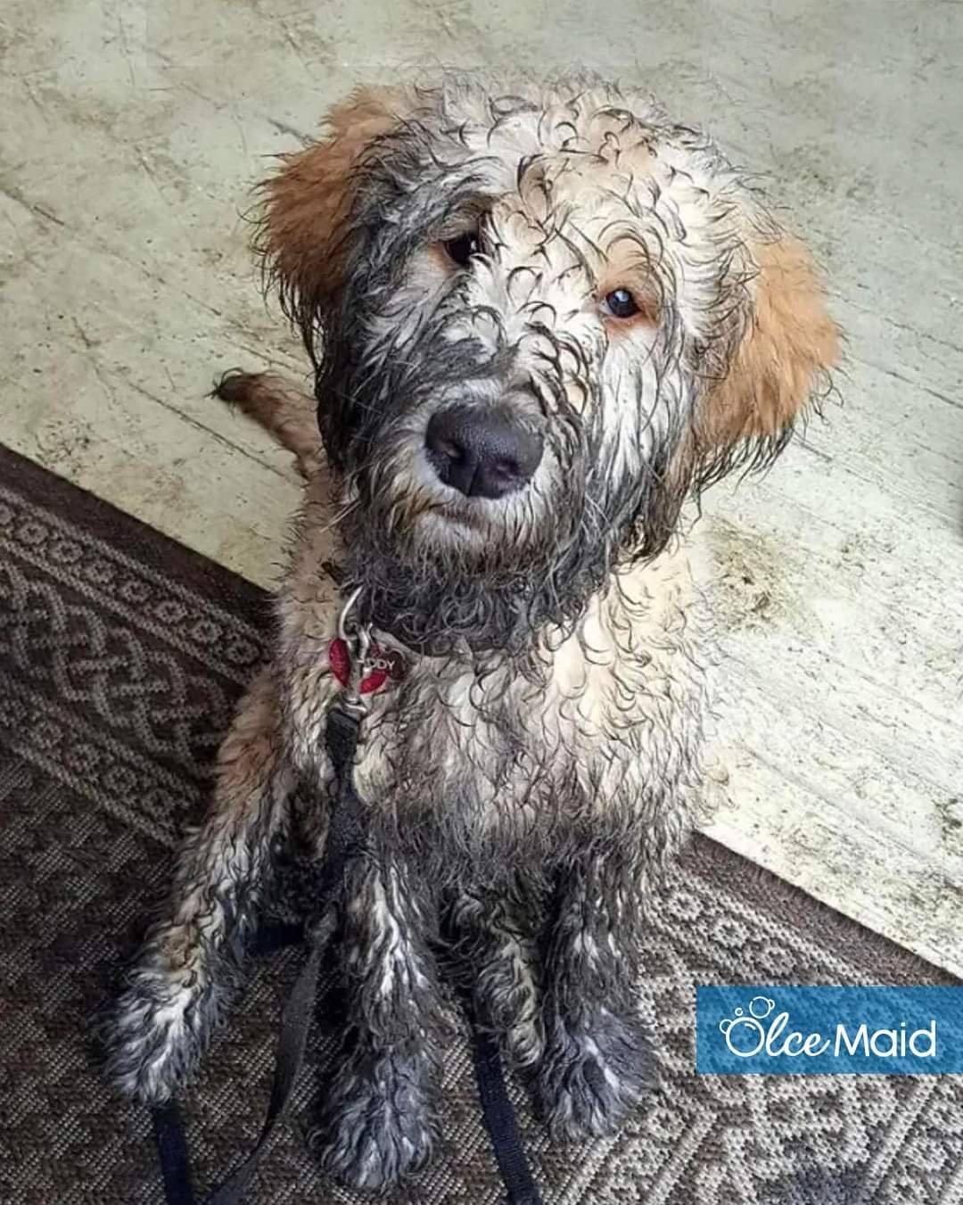 Deep Cleaning Service